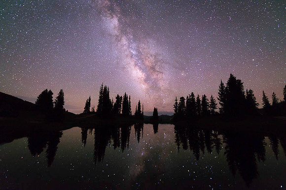 Stars in Paradise