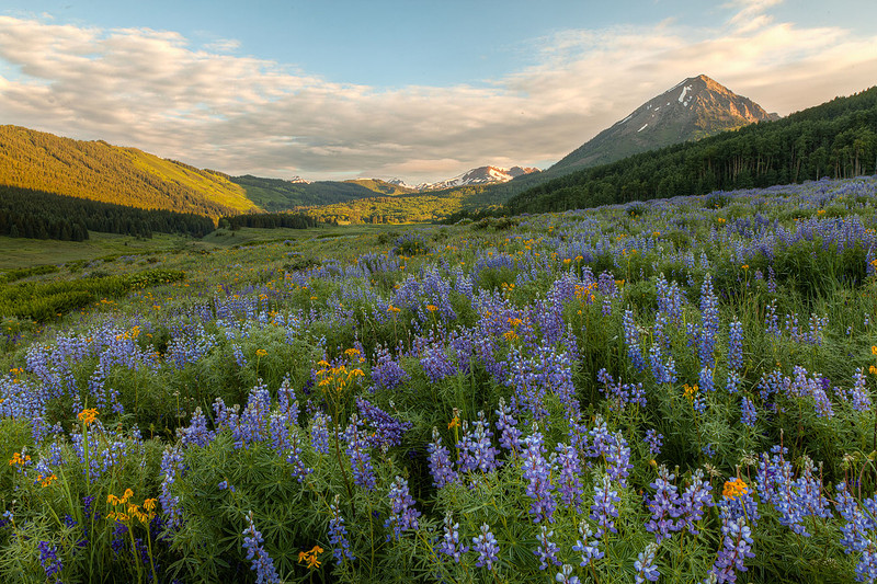J.C. Leacock Photography | Crested Butte Nature Landscapes