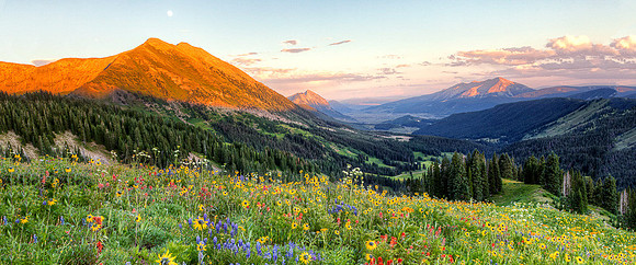 Wildflower Moonrise Panorama