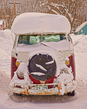 "Survivor Bus"