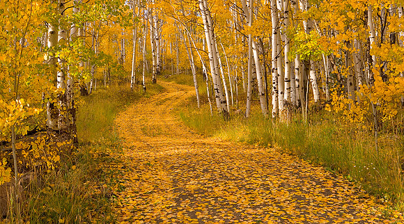 aspenroad_4826_pano