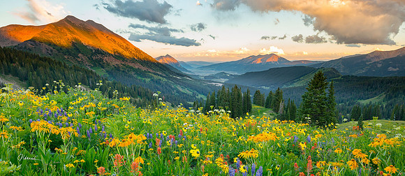 Wash_Gulch_Wild-48x21_pano_sig