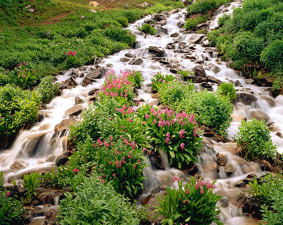 "Parry Cascade"