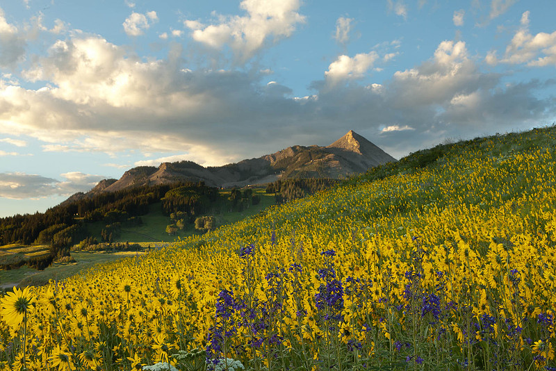 J.C. Leacock Photography | Crested Butte Nature Landscapes