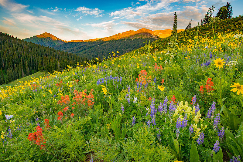 J.C. Leacock Photography | Crested Butte Nature Landscapes