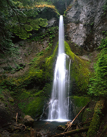 Marymere Falls, Olympic National Park, Washington